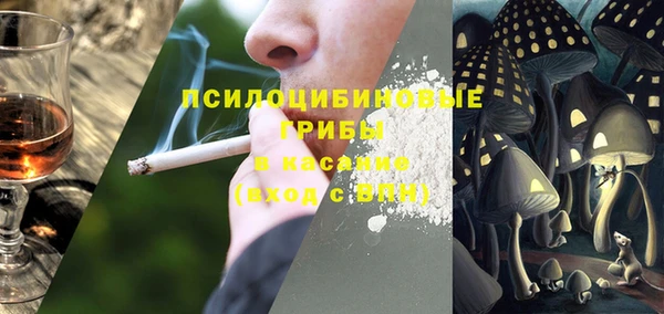 амф Нязепетровск