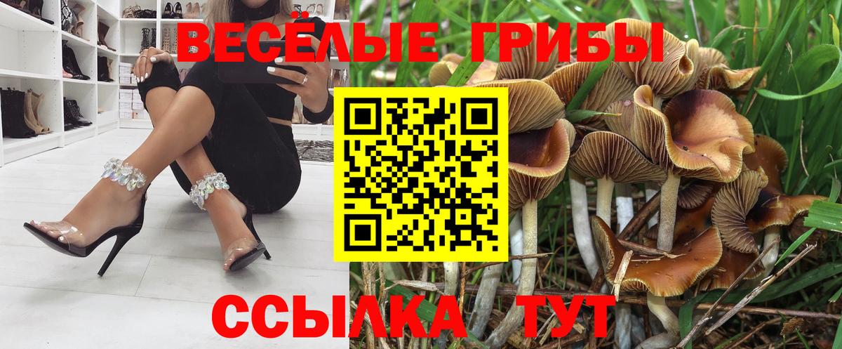 Ачинск  цены   Вход с VPN  Галлюциногенные грибы прущие грибы 
