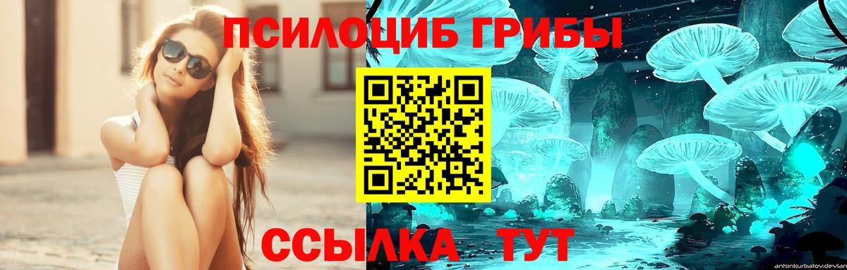 Галлюциногенные грибы MAGIC MUSHROOMS  Псилоцибиновые грибы Psilocybe  Ачинск 